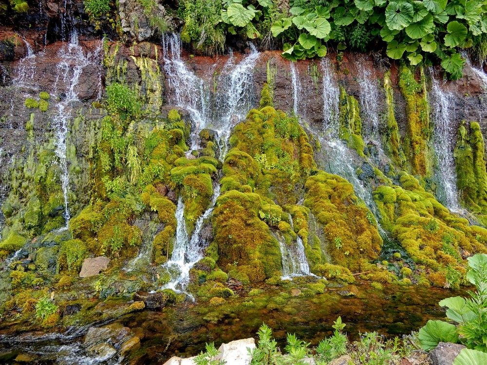 Photograph by София Гавриловна Вотякова