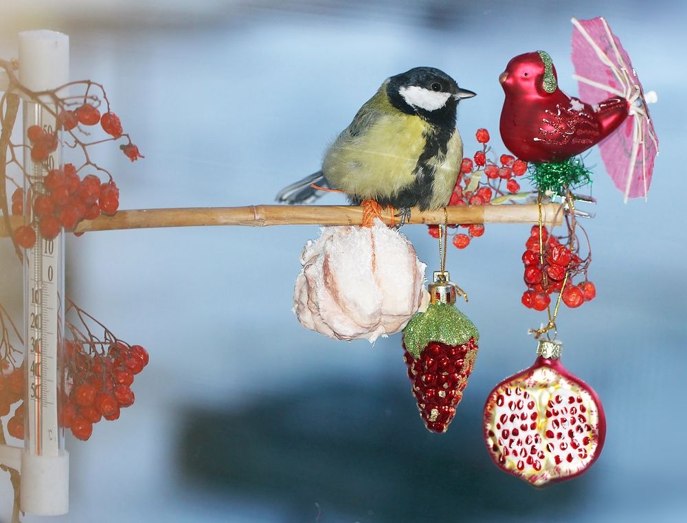 Photograph by Любовь Саханова