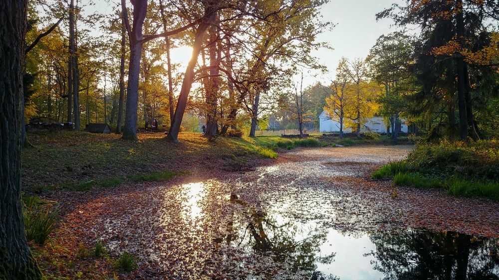 Photograph by Aleksandr Barsukov