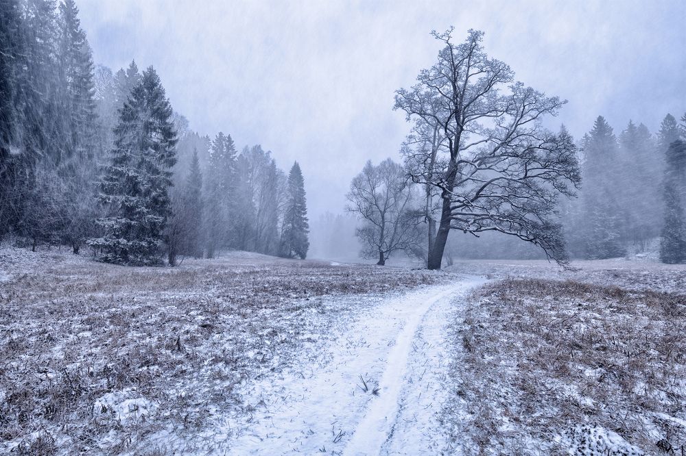 Photograph by Александр Клопков