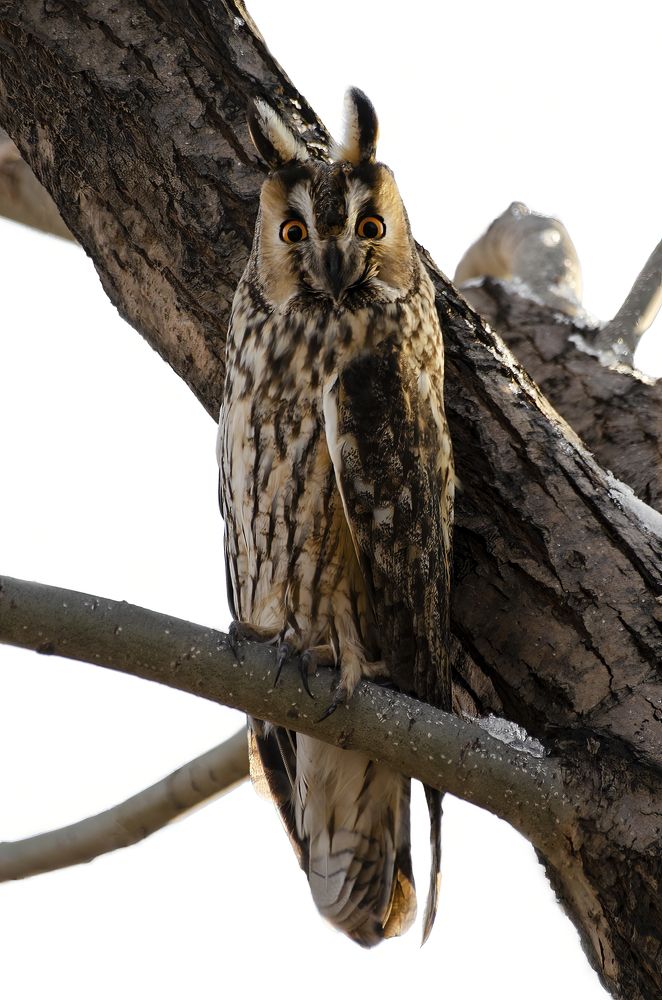 Photograph by Selcuk Ozdil