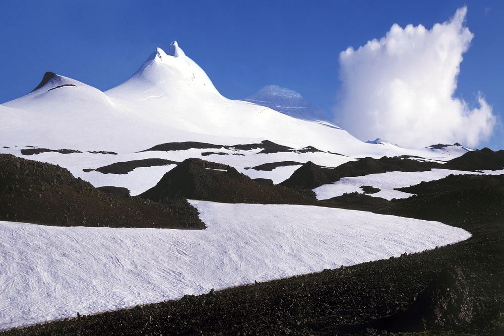 Снайфедльс