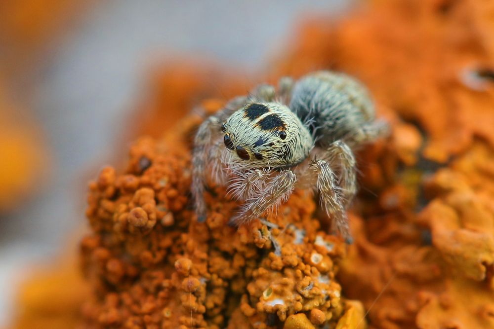 Photograph by Григорий Прокопов