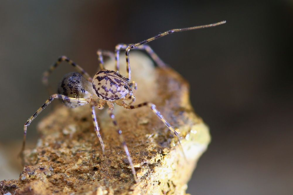 Photograph by Григорий Прокопов