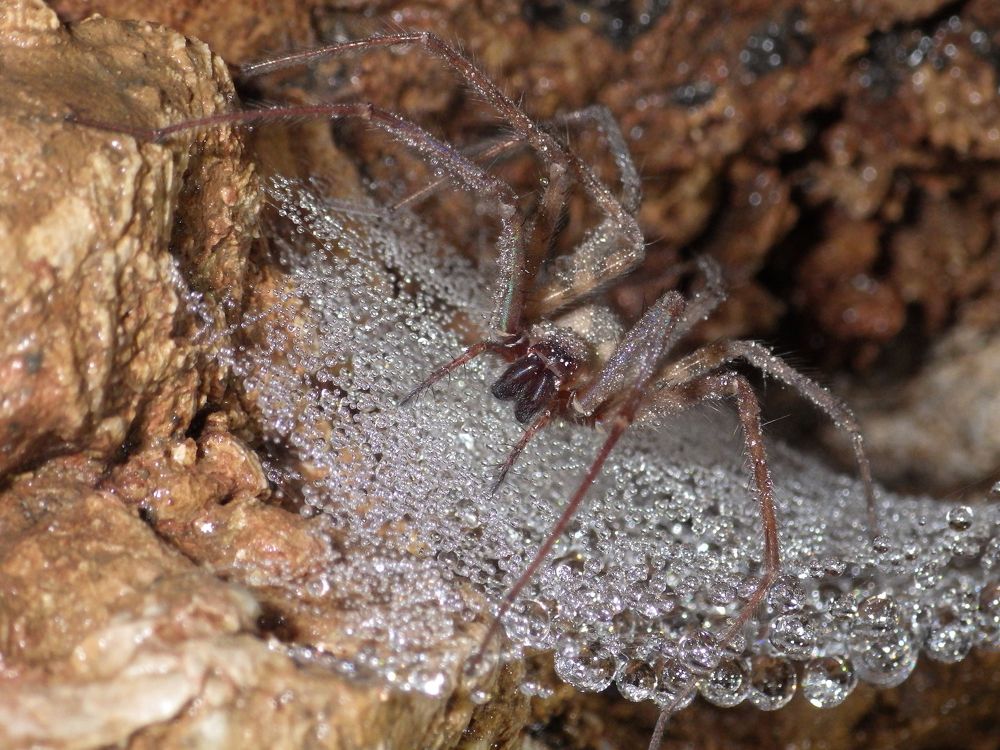 Photograph by Григорий Прокопов