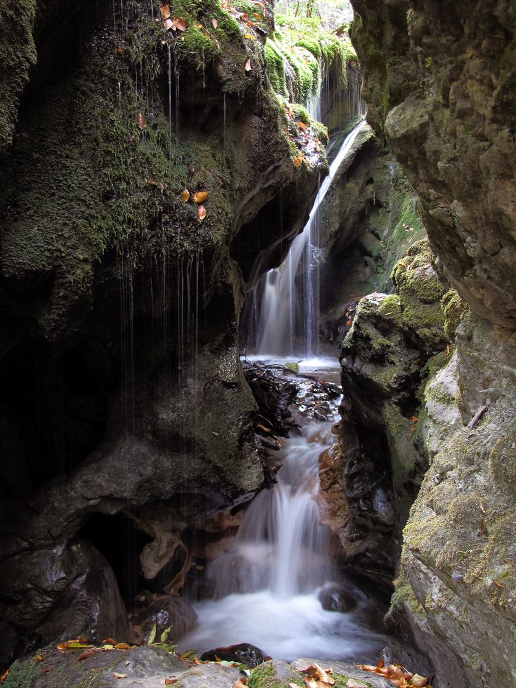 Photograph by Григорий Прокопов