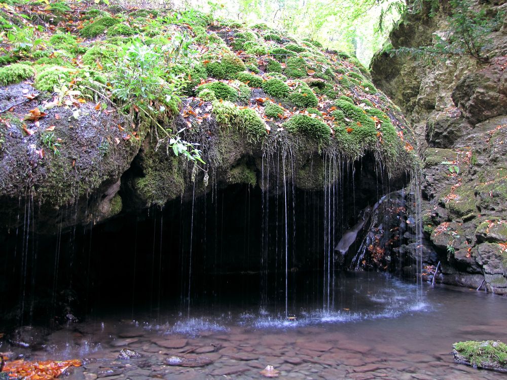 Photograph by Григорий Прокопов