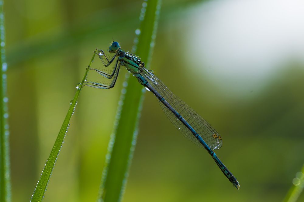 Фотография автора Роман Зайцев