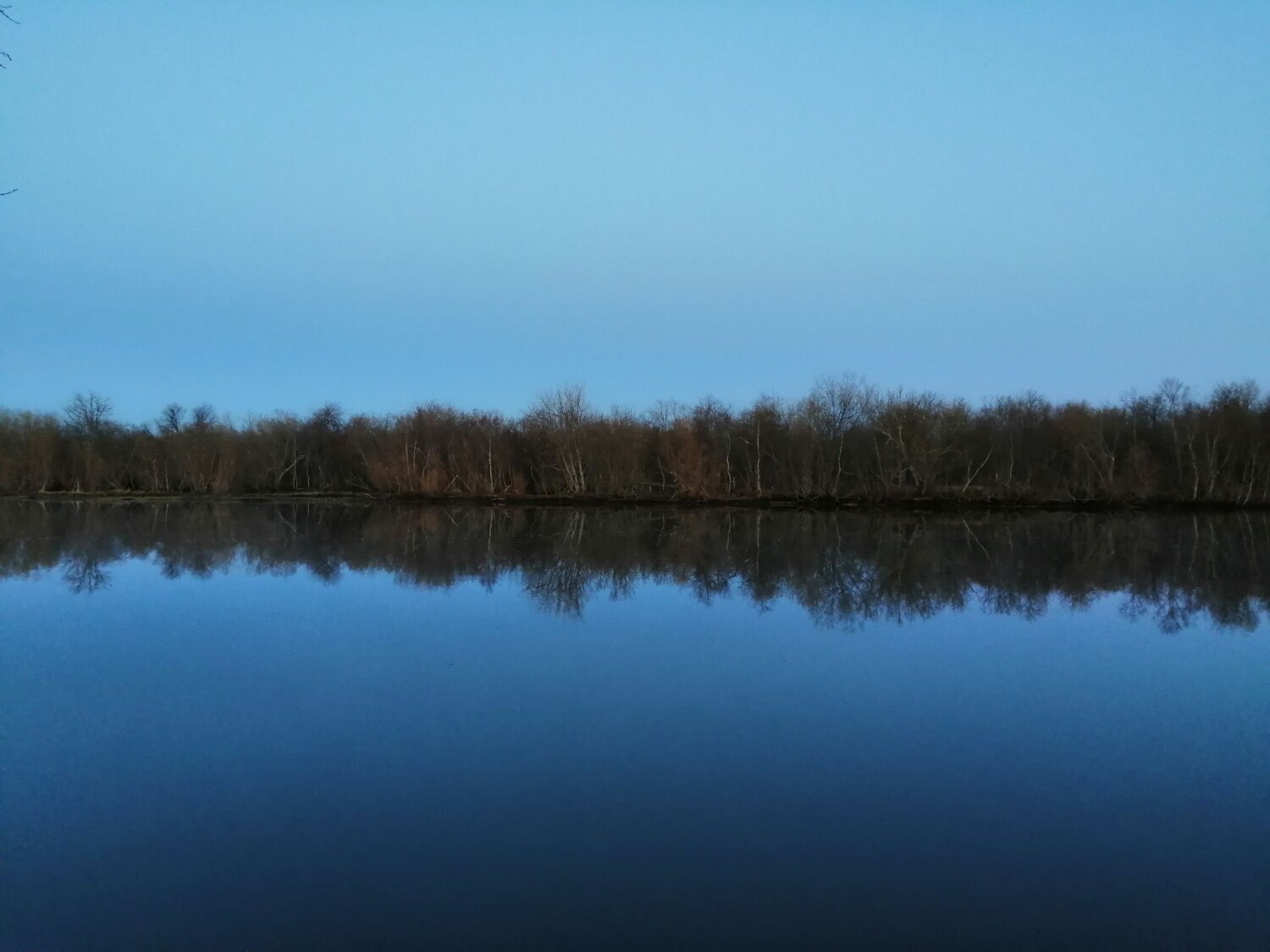 Photo #6992501