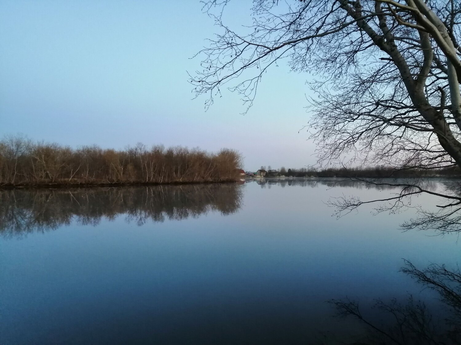 Photo #6992503