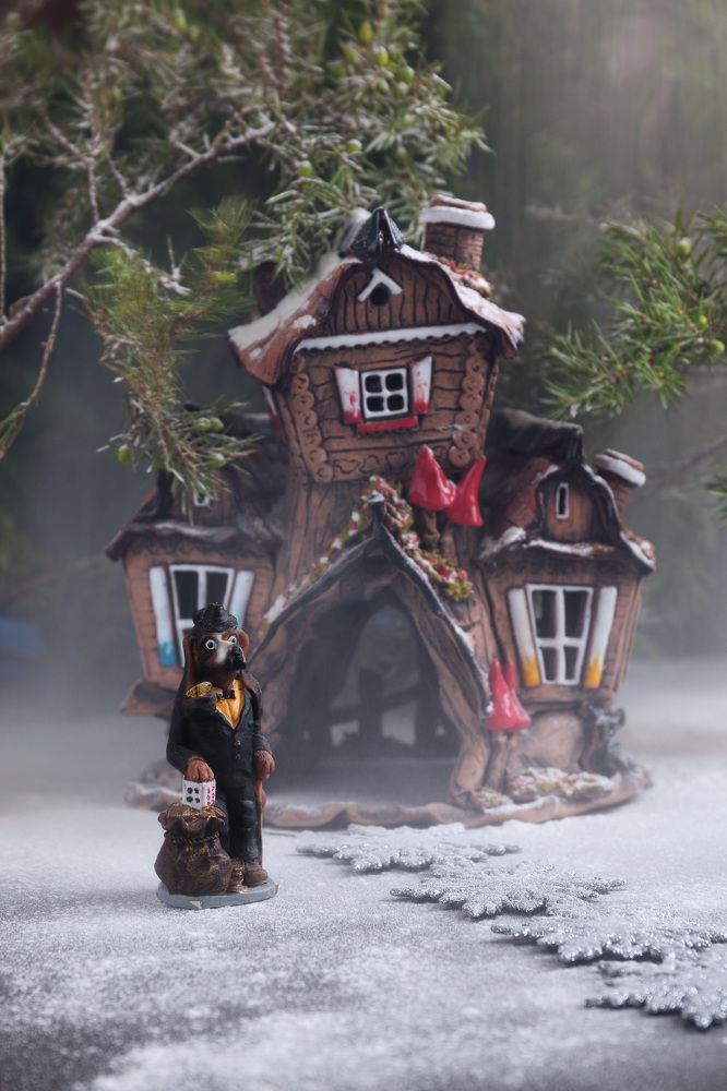 Photograph by Елена Неведицына