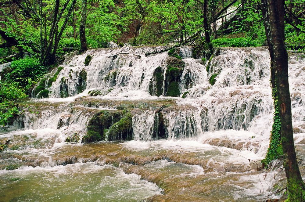 Photograph by Григорий Прокопов