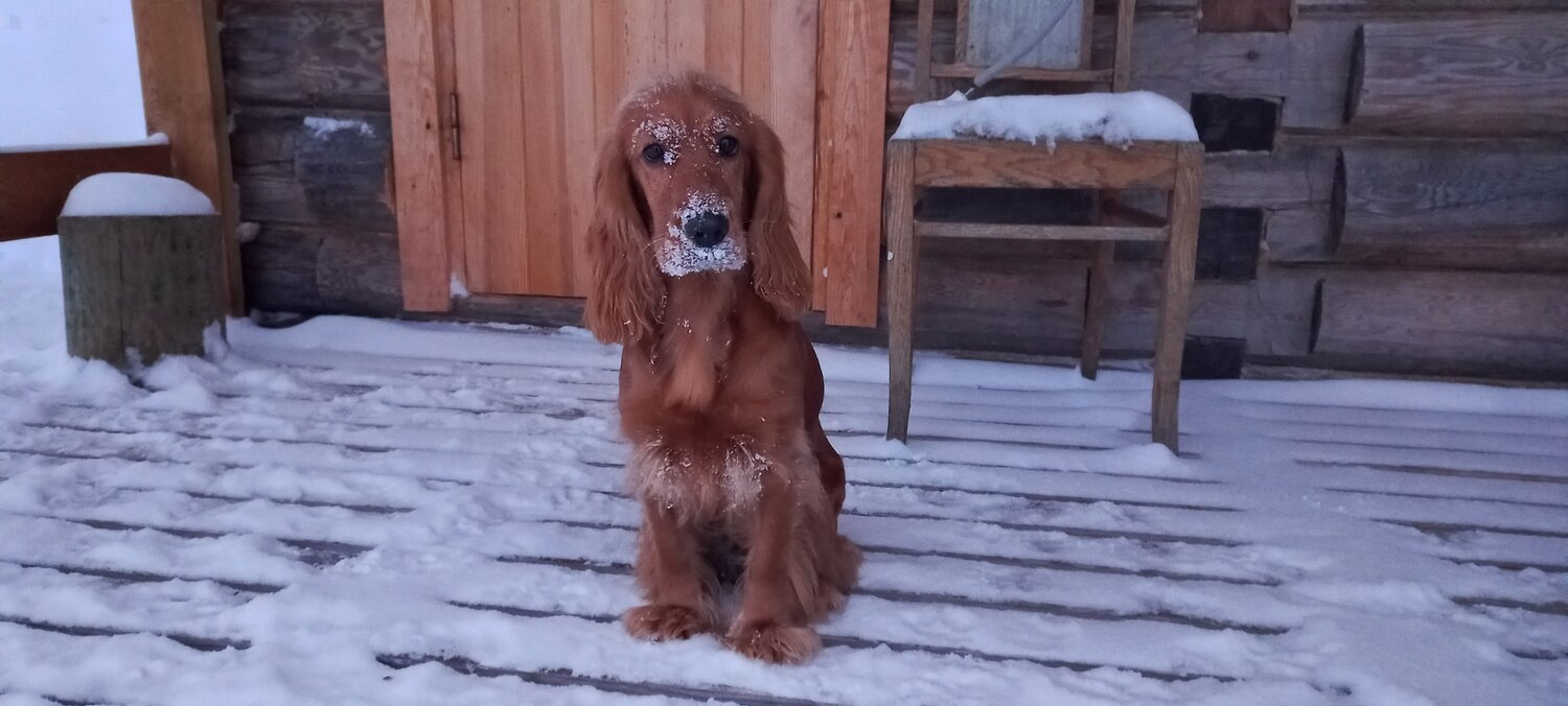 Photo #6993018