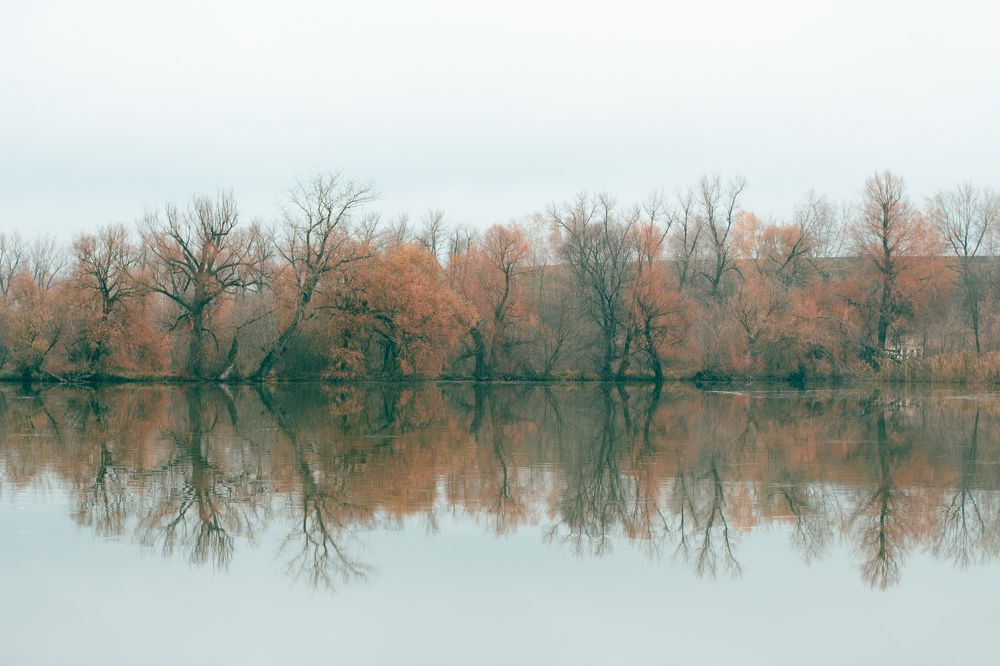 Photograph by Полина Килат