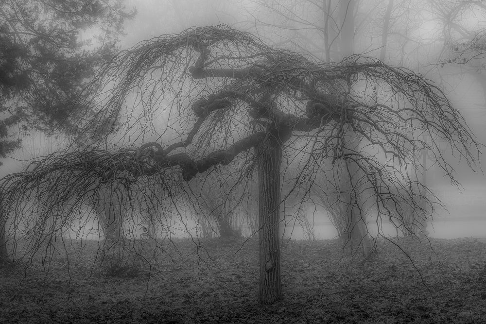 Photograph by Venelin Dimitrov