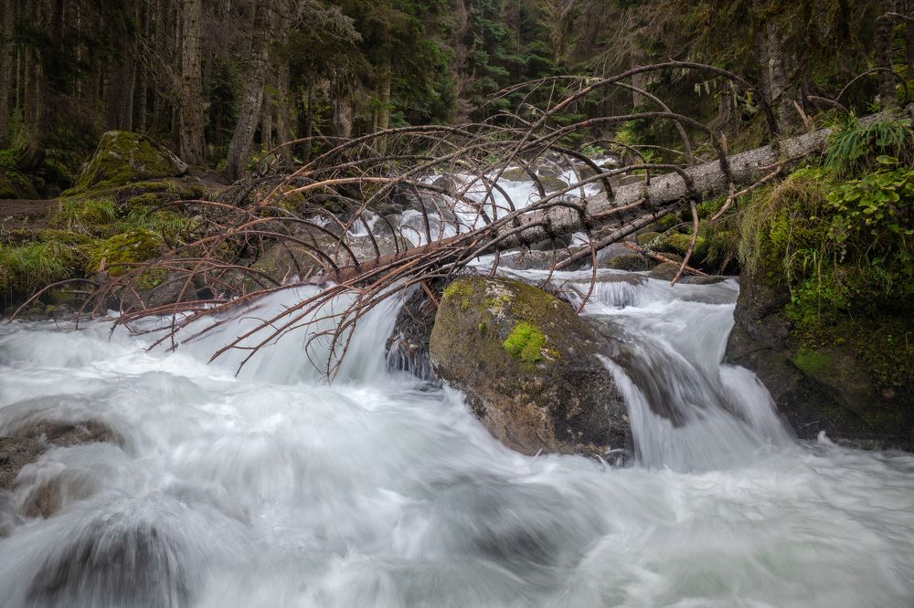 Photograph by Анастасия Плахотникова