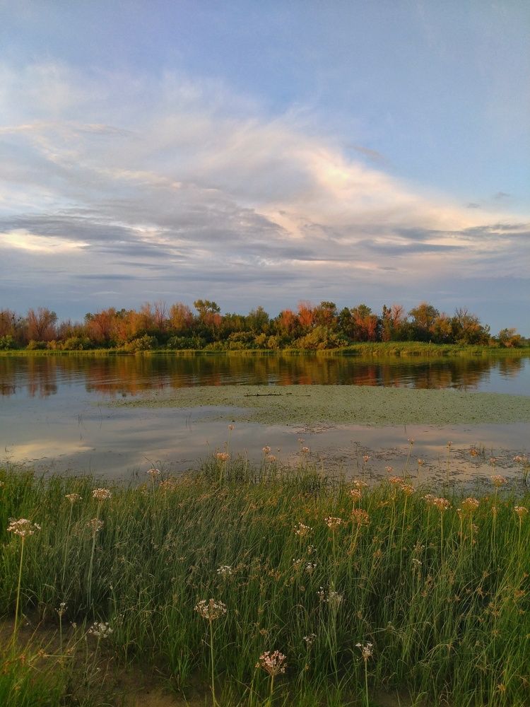 Photograph by Елена Галкина