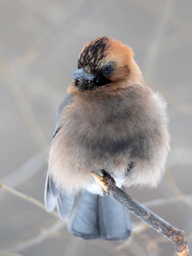 Photograph by Дина Нестеркова