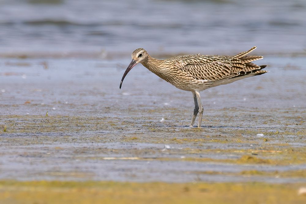 Photograph by Дина Нестеркова