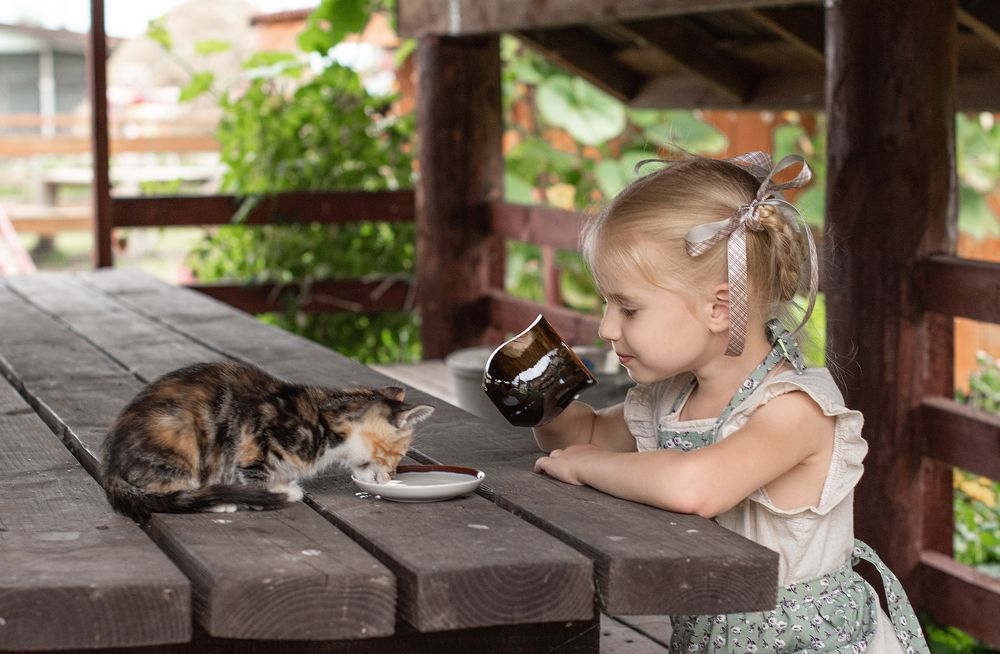 Фотография автора Светлана Дроголюбова