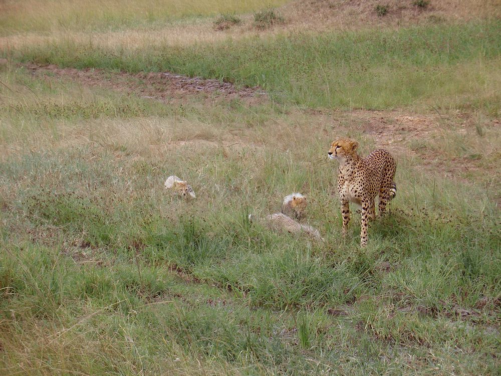Photograph by Tatiana Serova