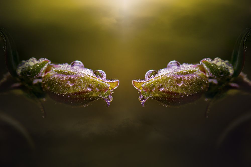 Photograph by Kristina Zvinakeviciute