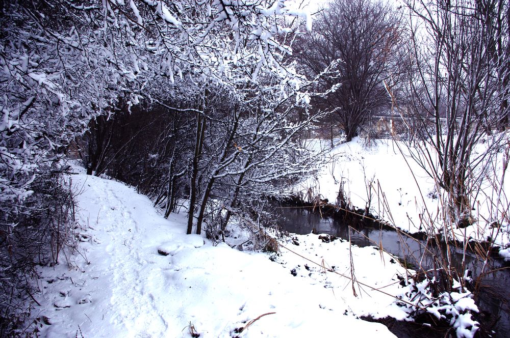 Photograph by Лилия Потравнова