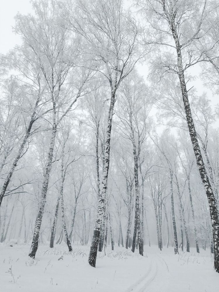 Суровая, сибирская зима.