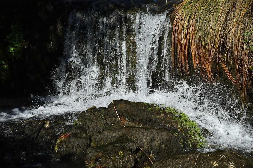 Photograph by David Alcaide