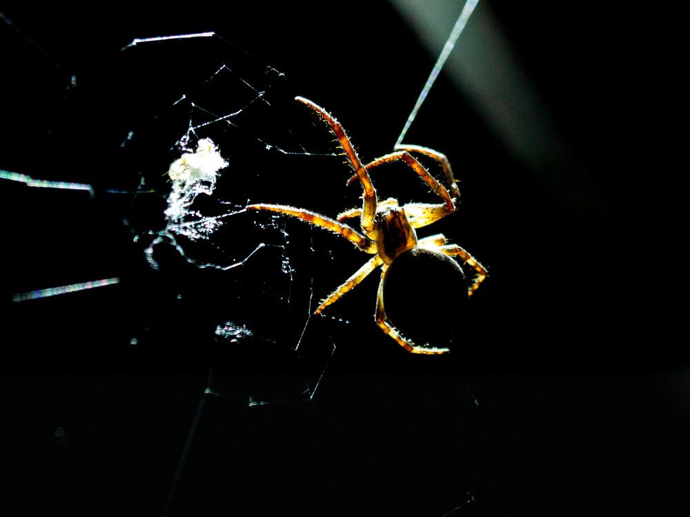 Photograph by Vlad Proshin