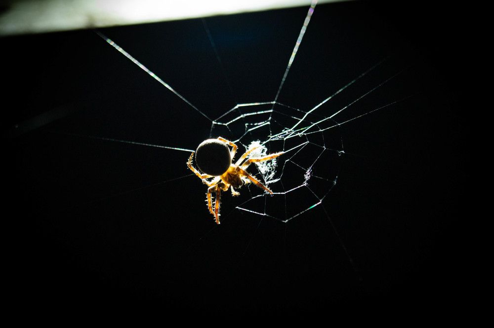 Photograph by Vlad Proshin