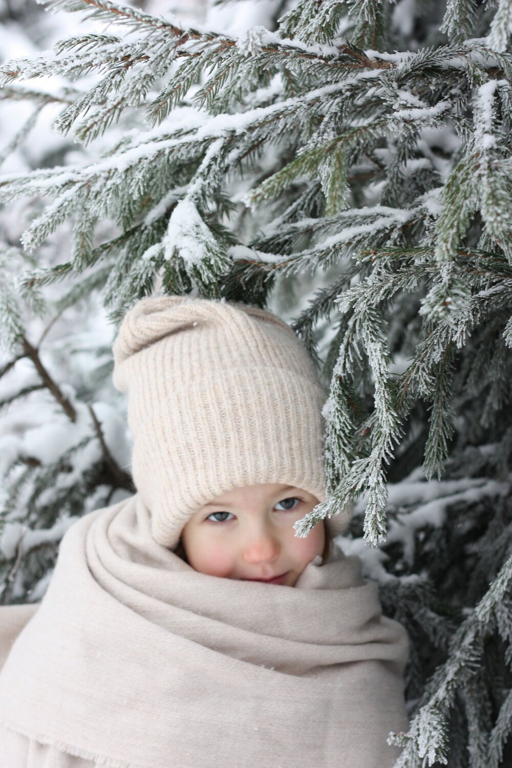 Photo #6993404