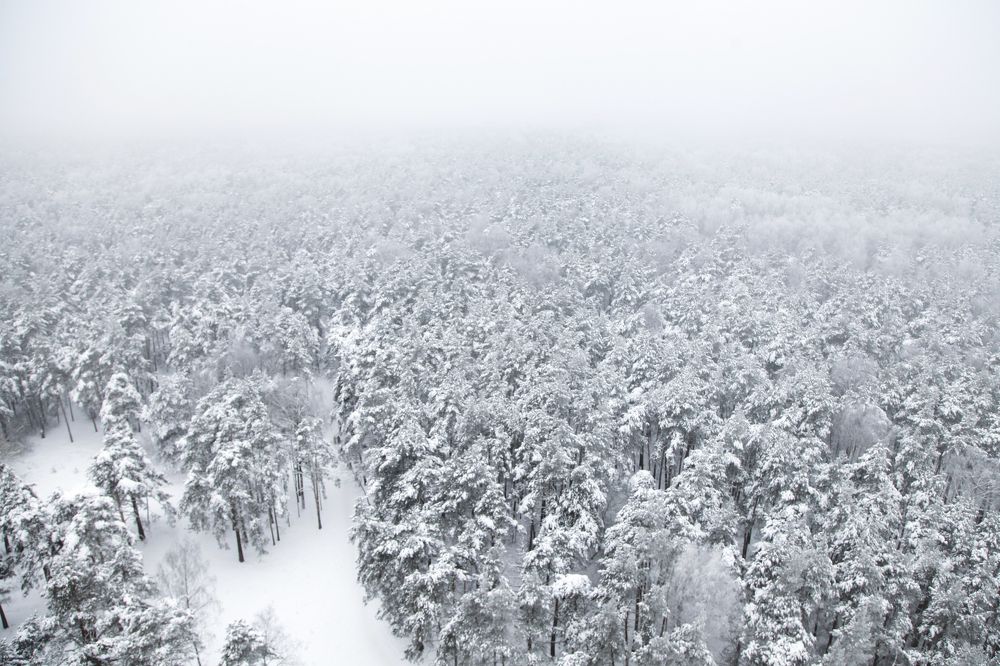 Photograph by Мария Утехина