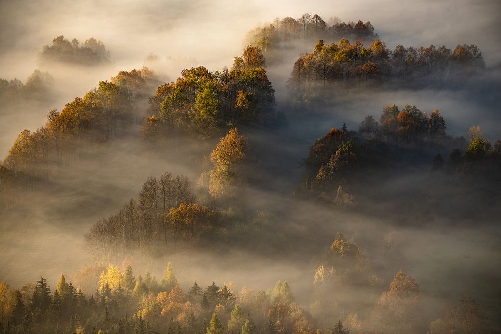 The land of magic mists