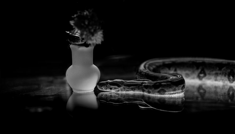 Photograph by Максим Митченко