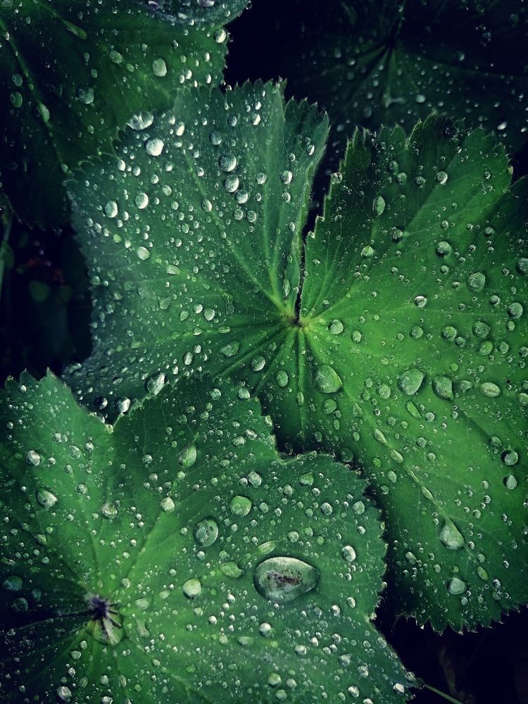 Photograph by Gabriella Szabo