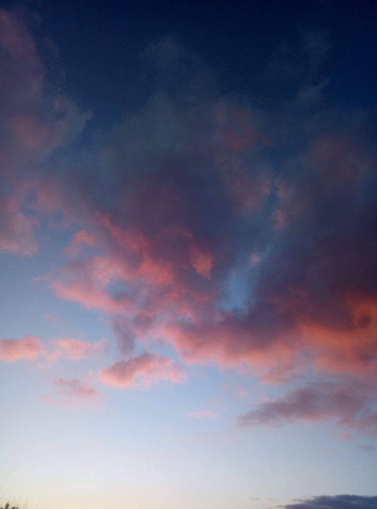 Photo #6993483