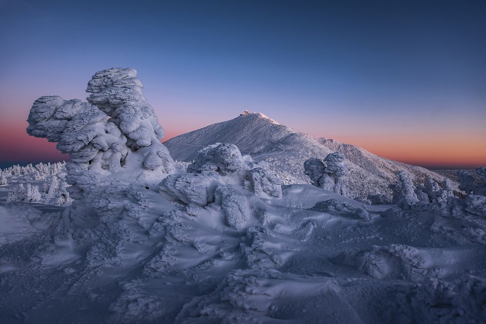 The Arctic Queen of the Giant Mountains