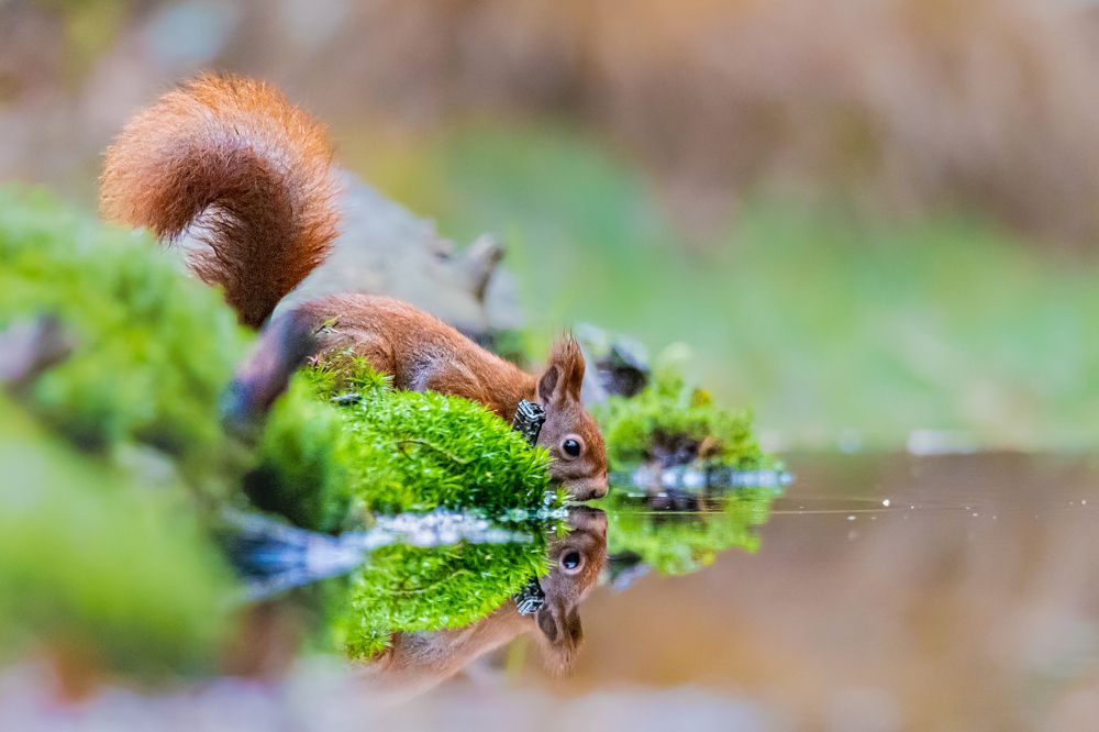 Photograph by Ellen Lichtenheldt