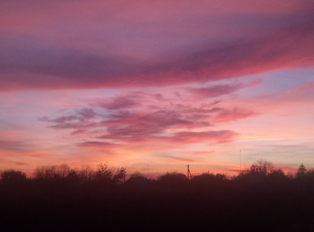 Photo #6993563