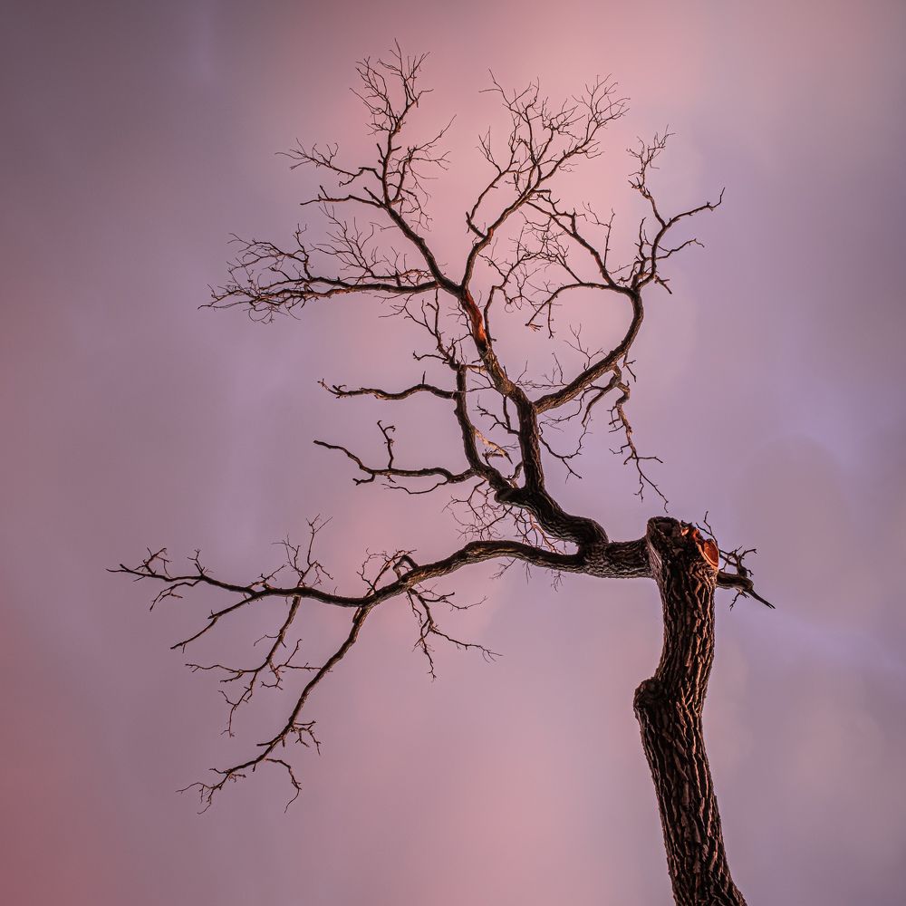 Photograph by Артём Селезнёв