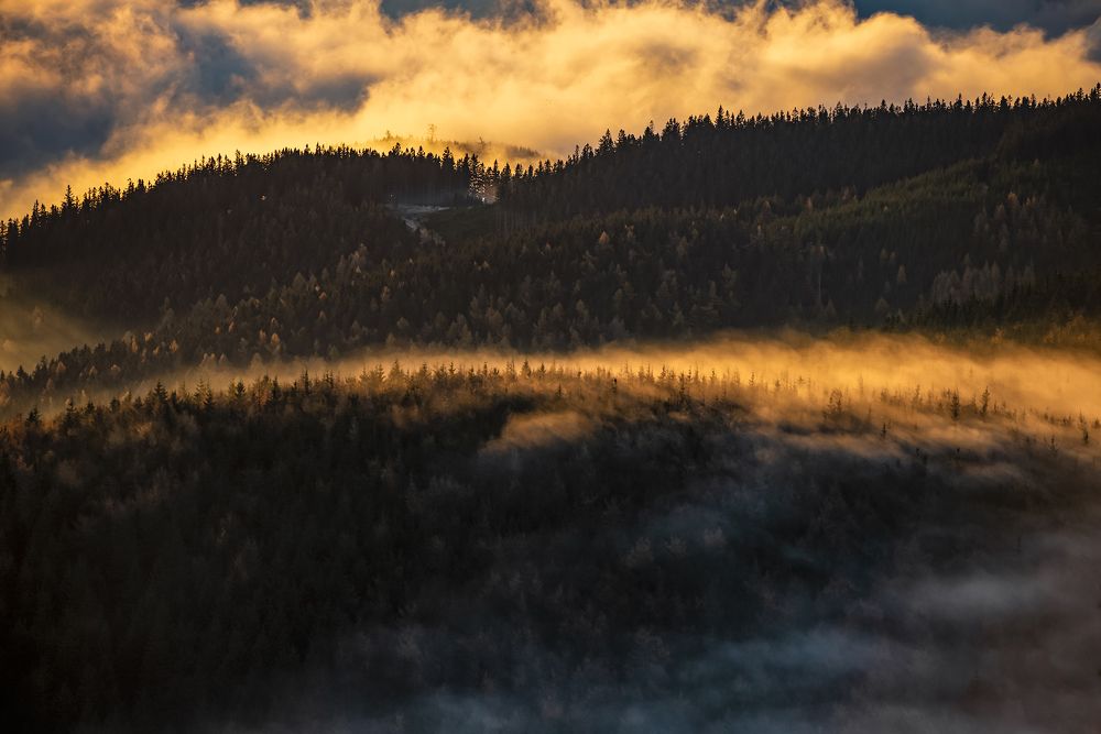 Photograph by Grzegorz Truchanowicz