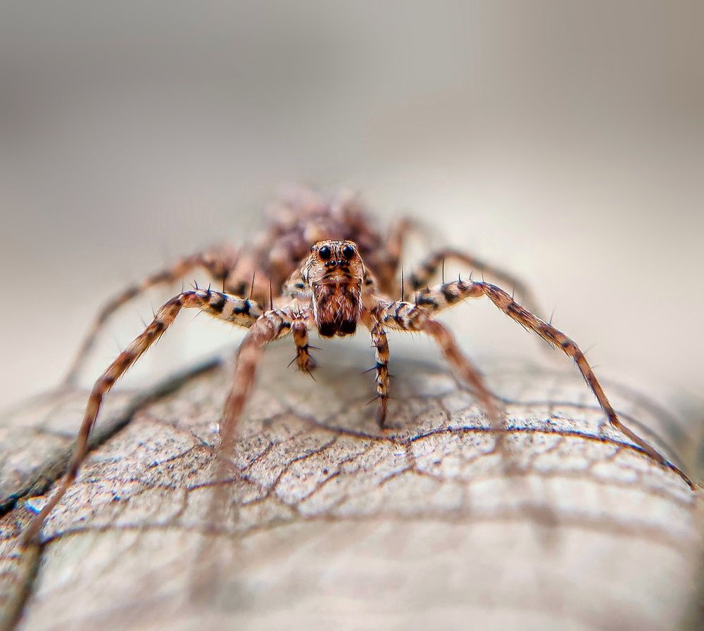 Фотография автора Devadeth Subhash