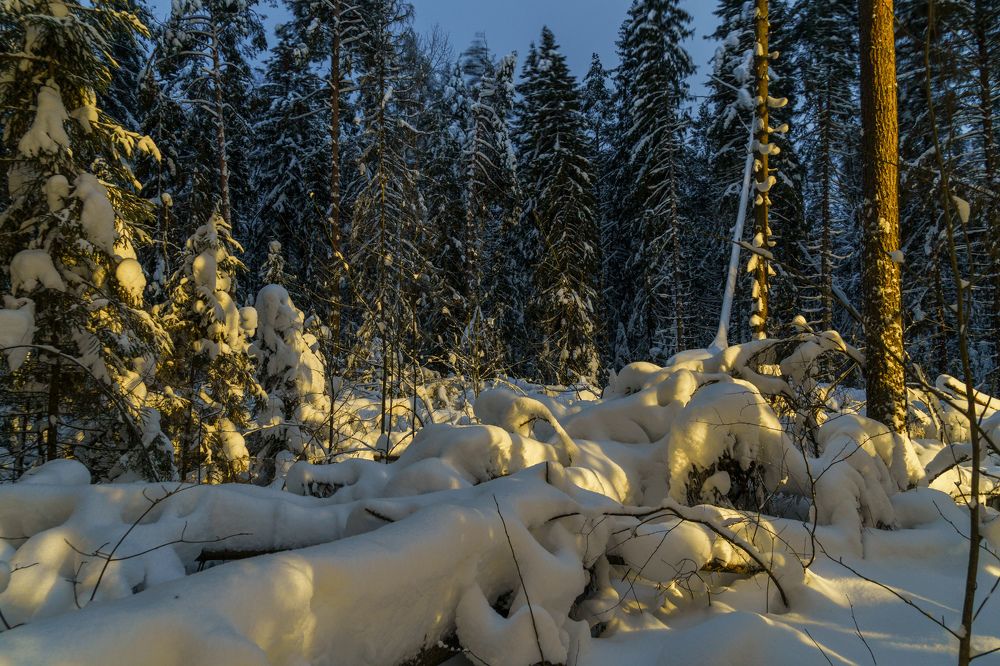 Photograph by Игорь Мурзенко