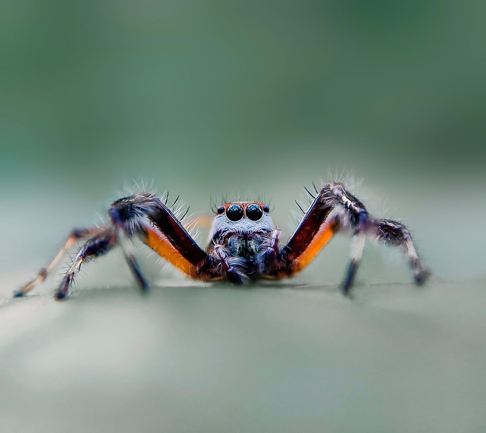 Фотография автора Devadeth Subhash