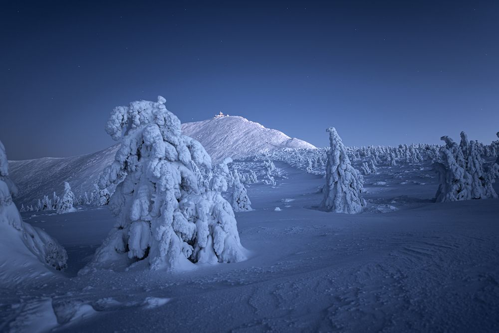 Arctic landscape in the mountains.