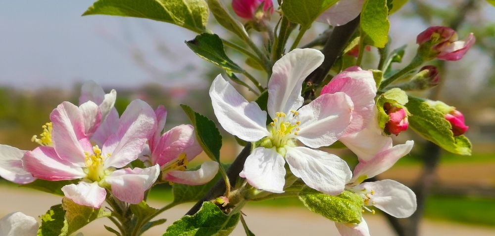 Photograph by Yuriy  Korsuntsev