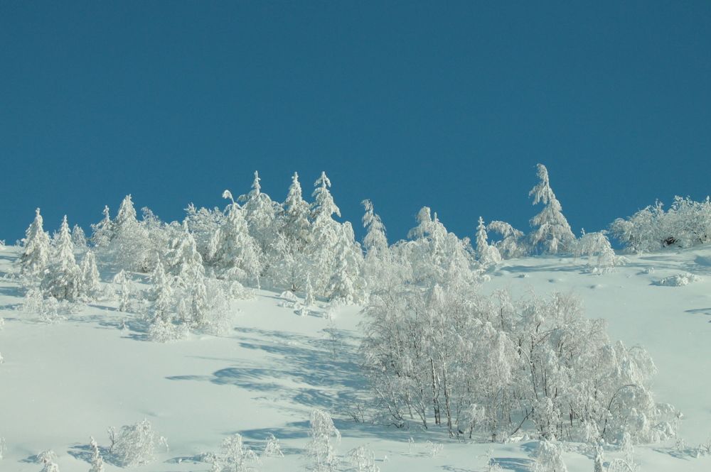 Photograph by Игорь Улитин