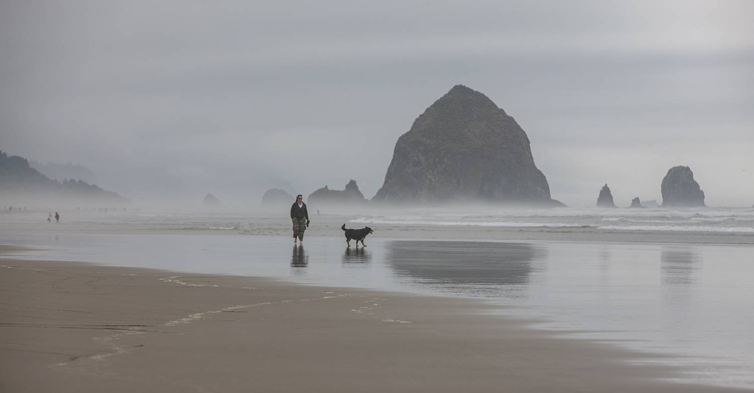 Photo #6993682