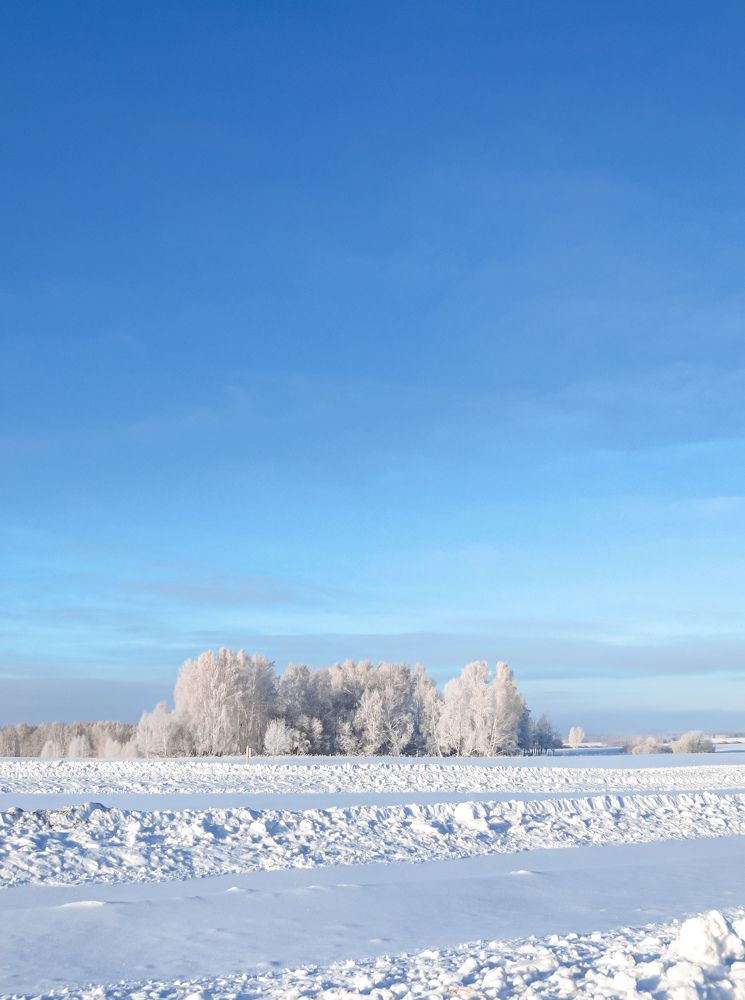 Зимним, ясным днём.